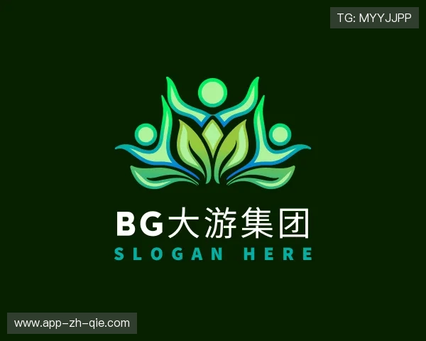 介绍BG大游